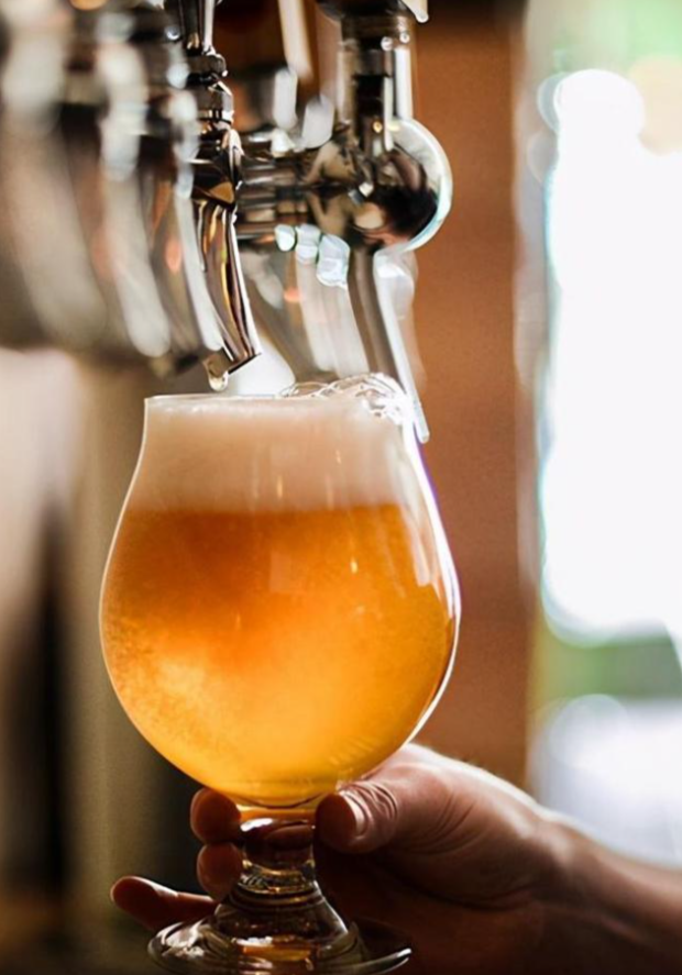 Young Americans' love for craft beer is declining