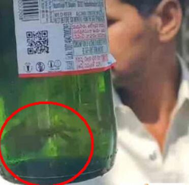 Is there a small fish swimming in the Indian beer bottle?