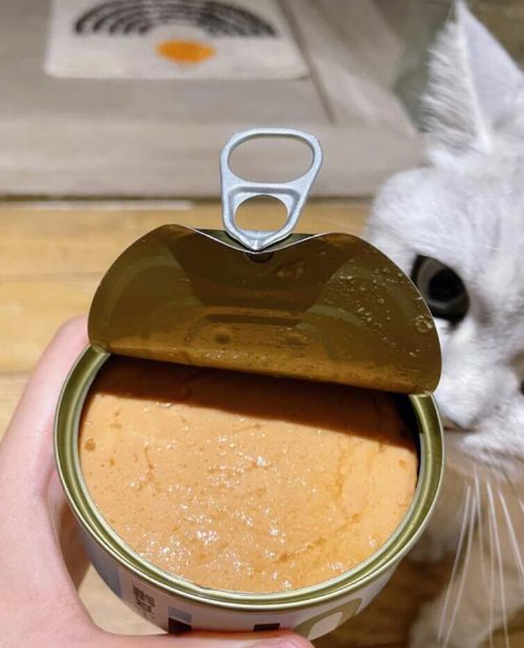 Cat food selection guide: How to choose puffed, baked, freeze-dried, and canned?