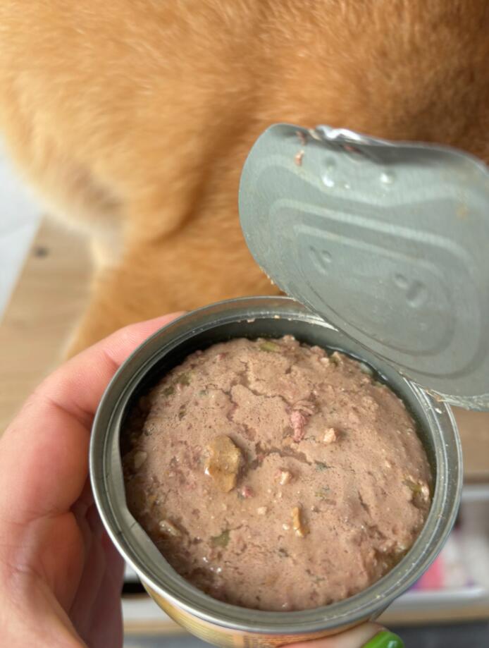 A pet store in California launches canned mouse meat cat food